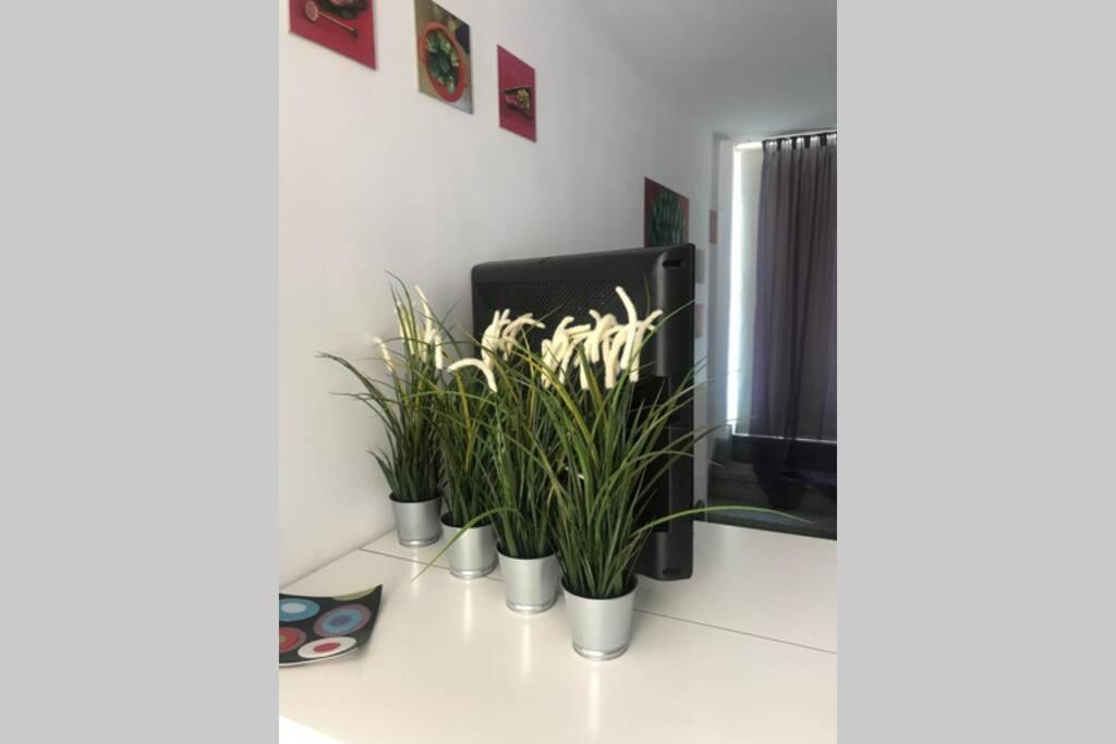 Atico Con Vistas Y Gran Terraza Apartment Guía de Isora Екстериор снимка